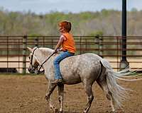 ranch-work-pony
