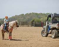 show-pony