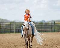 trail-riding-pony