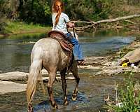 youth-pony
