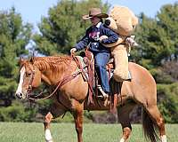 roping-quarter-horse
