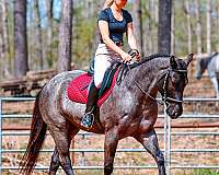 ranch-versatility-quarter-horse