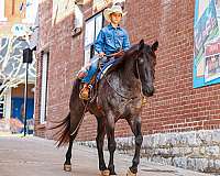 roping-quarter-horse