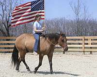 ranch-quarter-horse