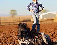 athletic-pony