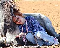 barrel-racing-pony
