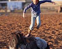 beginner-pony