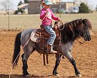flashy-pony