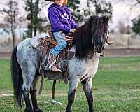 playday-pony
