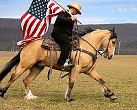 husband-safe-draft-horse