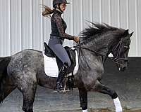 jumping-quarter-horse