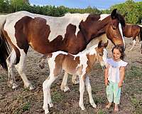 athletic-import-curly-pony