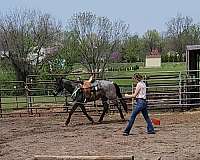athletic-quarter-horse