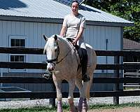 palomino-quarter-horse