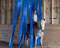 jumping-quarter-horse