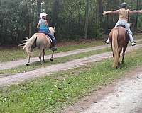 trail-riding-paint-horse