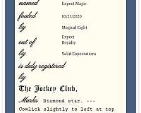 business-thoroughbred-horse