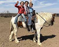 athletic-pony