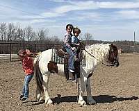 beginner-pony