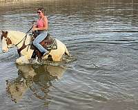 ranch-pony