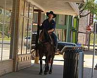 ranch-versatility-quarter-horse
