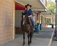roping-quarter-horse
