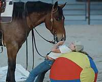 buttons-quarter-horse