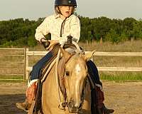 cowboy-mounted-shooting-quarter-horse