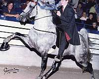 lower-lip-horse