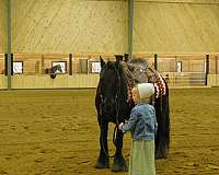 lesson-fell-pony