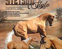 athletic-paint-horse