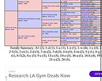 thoroughbred-horse