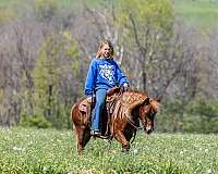 flaxen-mane-pony