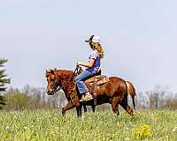 youth-pony