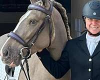 solid-silver-appaloosa-sooty-black-horse