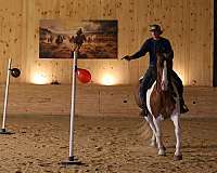 cross-belgian-horse