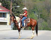 husband-safe-paint-horse