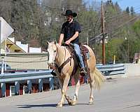 youth-quarter-horse
