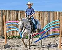 youth-appaloosa-horse