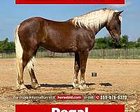 Thumbnail v