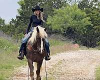 jumping-draft-horse