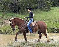 kid-safe-draft-horse