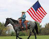 flashy-quarter-horse