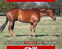 Thumbnail v