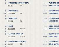 field-trial-tennessee-walking-horse
