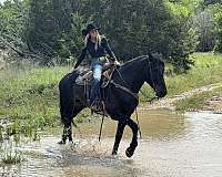 kid-safe-draft-horse