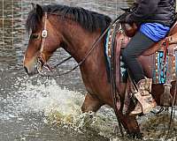 kid-safe-pony