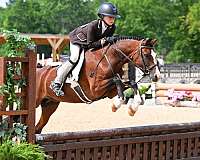 kid-safe-pony-welsh
