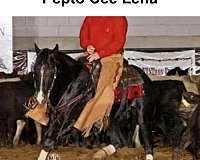 heel-quarter-horse