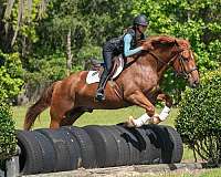 family-draft-horse